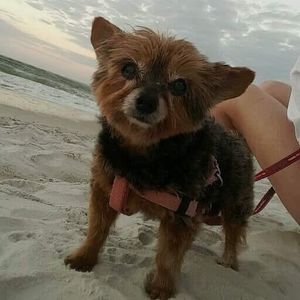 Meet your Posher, Bonnie